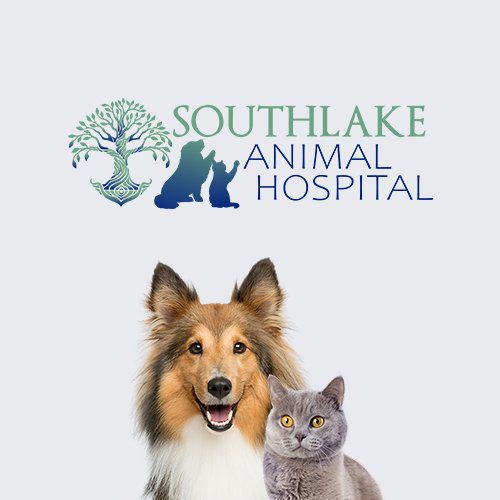 Vet Clinic in Merrillville & Crown Point, IN | Animal Hospital