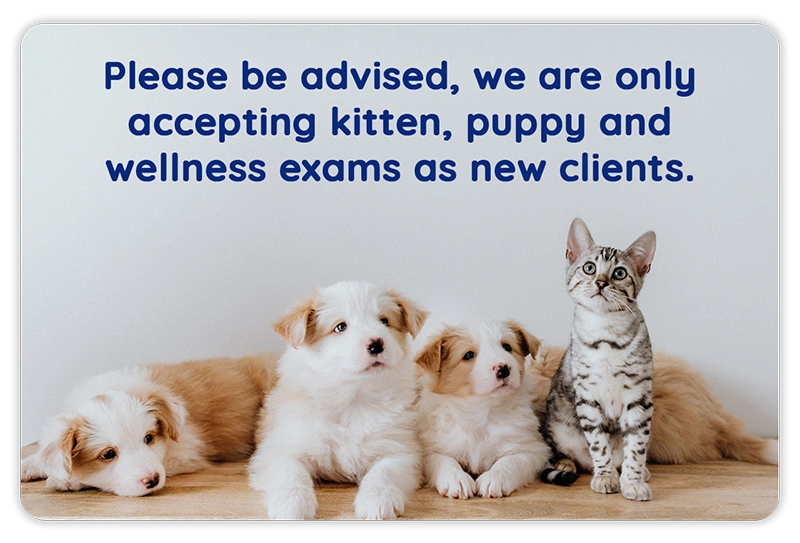 Please be advised, we are only accepting kitten, puppy and wellness exams as new clients.