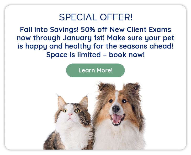 Fall into Savings! 50% off New Client Exams now through January 1st!