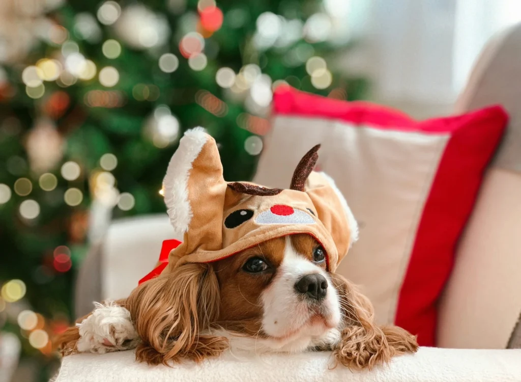 A small dog wearing a reindeer hat, resting on a couch in front of a Christmas tree.