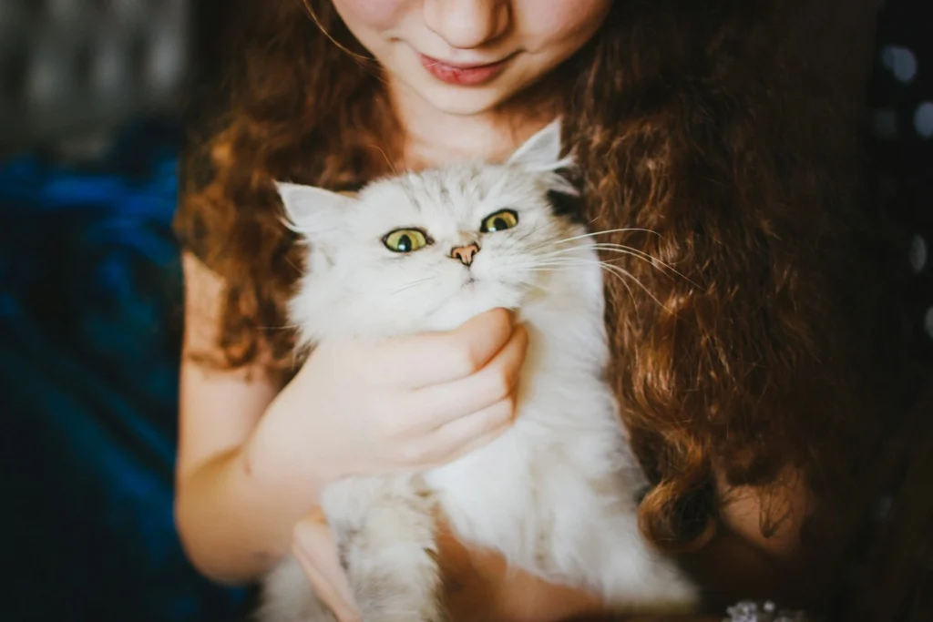 A child gently holding a fluffy white cat with wide green eyes.